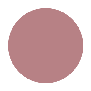 Matte Liquid Lipstick